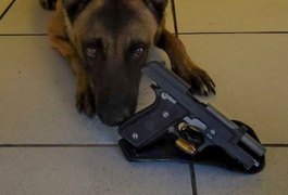 Turista do Mato Grosso do Sul é preso com arma de fogo durante abordagem, em São Sebastião