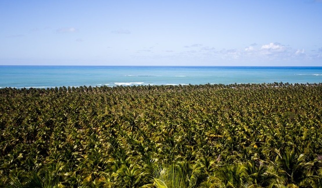 IMA multa motoristas que transitavam em área de desova de tartarugas na Praia do Gunga