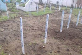 Cemitério de Rio Novo suspende sepultamentos por causa de superlotação