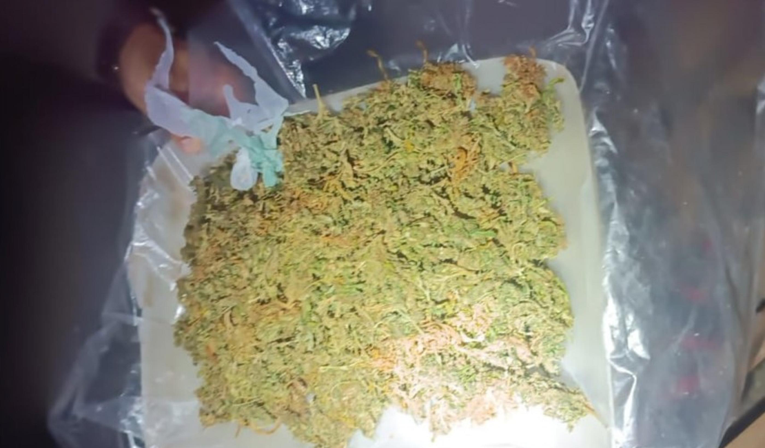 PM apreende menor por furto e detém suspeito com drogas no Sertão de Alagoas