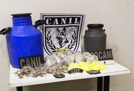 Cão farejador leva Polícia Militar a esconderijo de drogas, em área de mata em Arapiraca