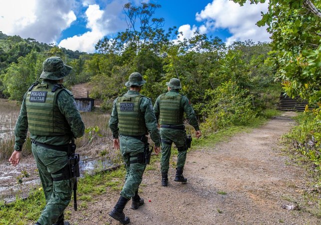 Polícia Militar resgata jaguatirica em área urbana no município de Penedo
