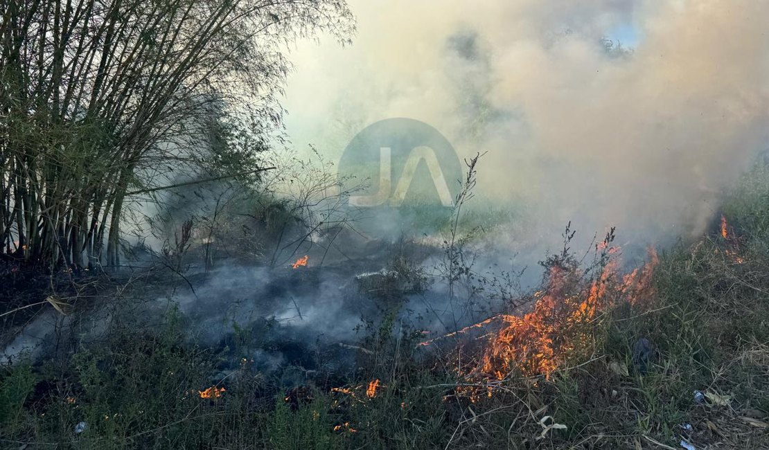 Incêndio atinge vegetação, ao lado do Lago da Perucaba, e mobiliza Bombeiros em Arapiraca