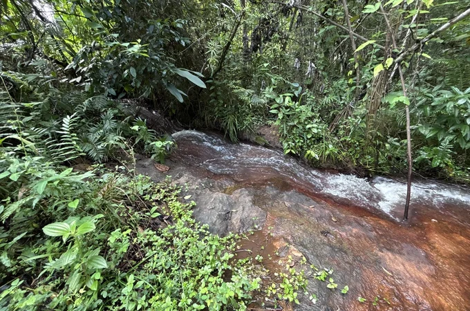 Rota do Cacau amplia ecoturismo e preservação ambiental em Matriz de Camaragibe