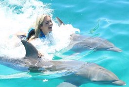 Thalita Zampirolli nada com golfinhos em Cancún, no México