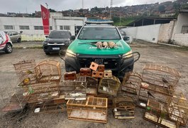 Operação Onda Verde recolhe arma de fogo e mais de 30 animais silvestres no interior alagoano