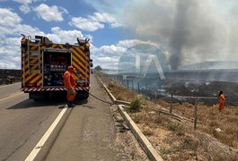 Incêndio atinge área de pastagem na zona rural de Arapiraca