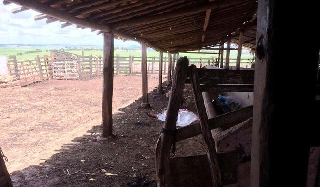Homem é assassinado a tiros e facadas, dentro de fazenda em Girau do Ponciano