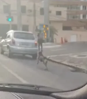 Vídeo: Cachorro é abandonado em avenida de Curitiba e animal corre atrás do carro onde estavam os donos