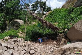 Ação conjunta apreende espingardas e resgata pássaros silvestres no interior de Alagoas