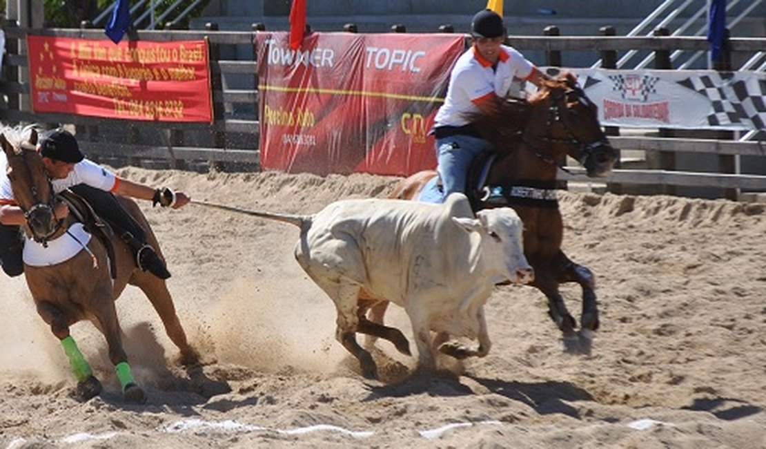 Senado deve votar na terça PEC que legaliza vaquejada