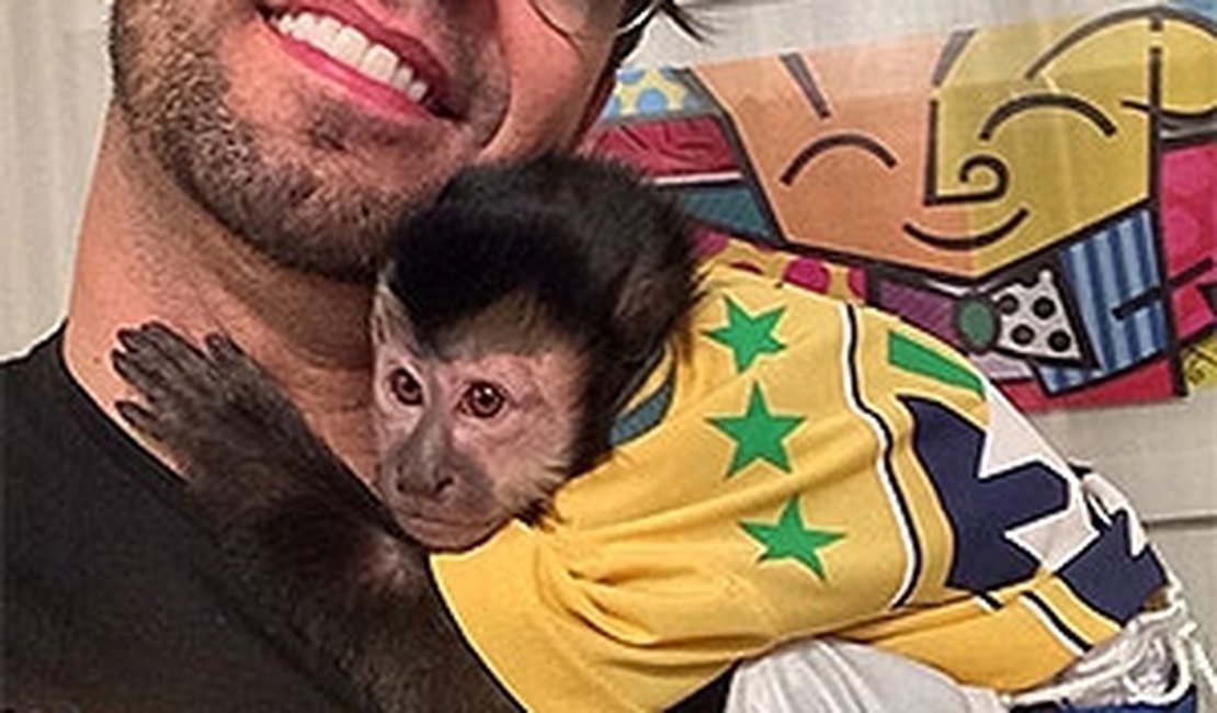 Seu macaco tem vida de luxo e seu filho é atendido na UPA, diz ex de Latino