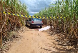 Taxista é assassinado em canavial durante corrida em São Sebastião