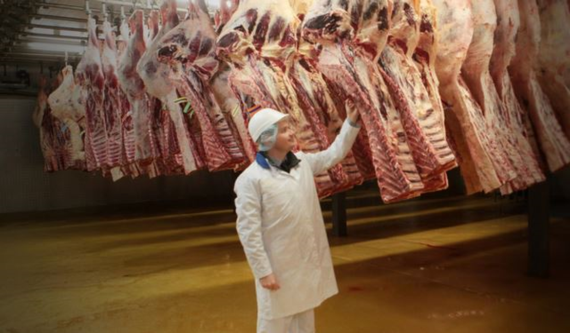 Arapiraca ganha primeiro frigorífico industrial de carne certificada com padrões de qualidade