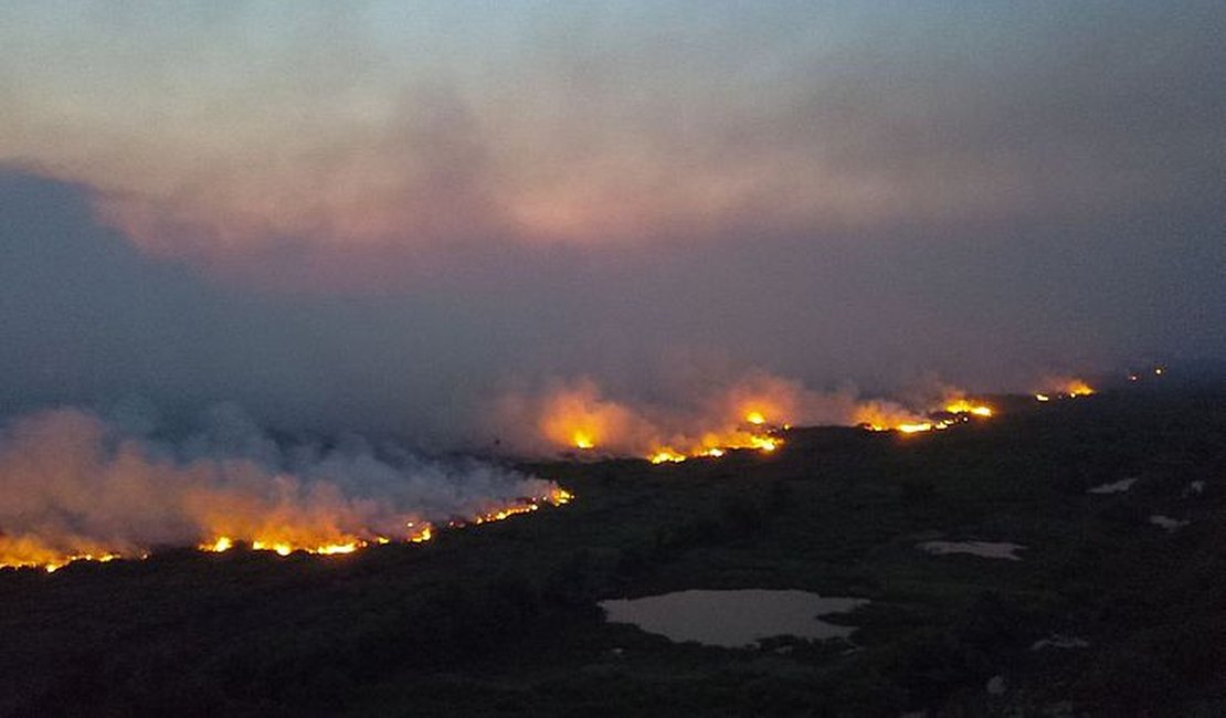 PF já tem provas para indiciar fazendeiros de MS por queimadas no Pantanal