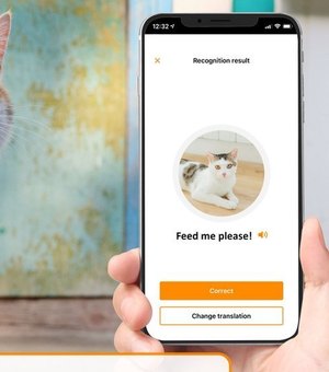 Conheça o app que promete traduzir o miado do seu gato