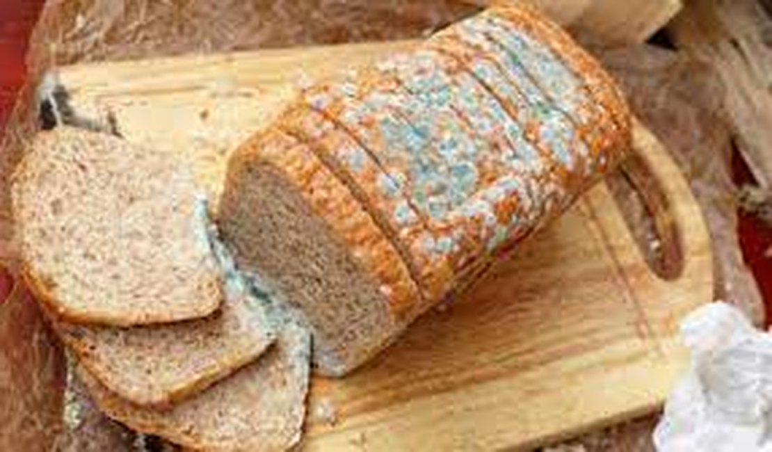 Pode comer a parte 'limpa' do pão mofado? Entenda os riscos