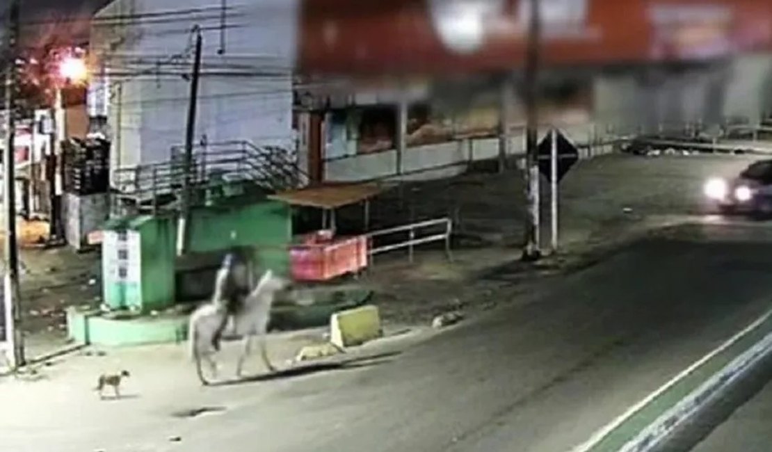 Homem é preso em Pernambuco após ser filmado com mulher morta em cavalo