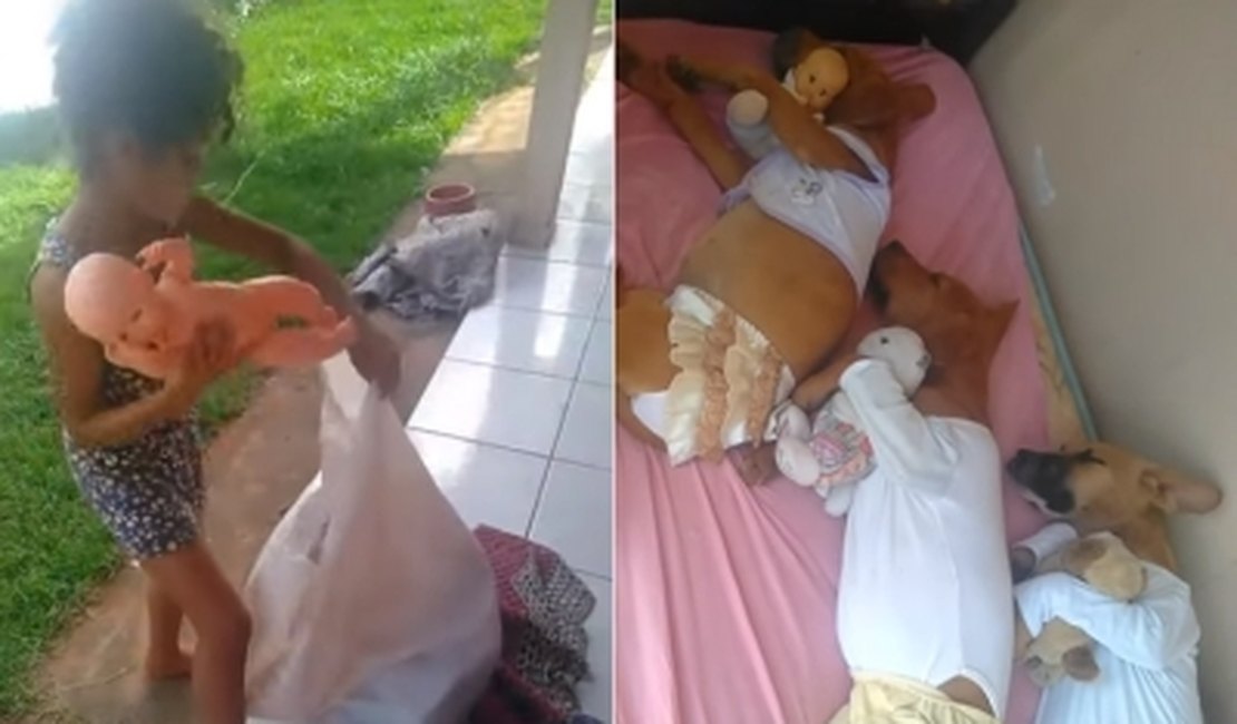 Vídeo viraliza na web por mostrar menina vestindo cachorros com roupas de bonecas, assista
