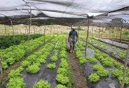 Agricultores de Arapiraca e região serão beneficiados com rodada de negociações
