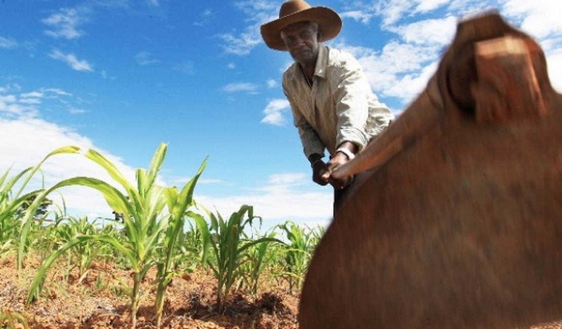 Alagoas receberá R$ 1 mi para fortalecer segurança alimentar e nutricional no Estado