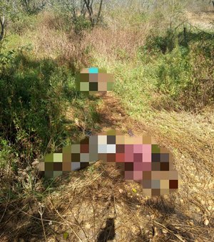 Dois cadáveres em decomposição são encontrados em matagal na Zona Rural de Arapiraca