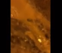 Vídeo. Perfuração mal feita da Casal resulta em vazamento e transtornos no Senador Nilo Coelho, em Arapiraca