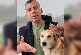 Período de chuvas exige cuidados redobrados com pets, alerta especialista de Arapiraca
