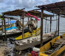 MPF defende indenização a pescadores afetados por dragagem no Porto de Maceió