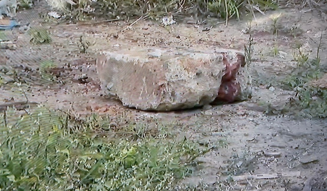 Homem é assassinado em galpão abandonado na parte alta de Maceió