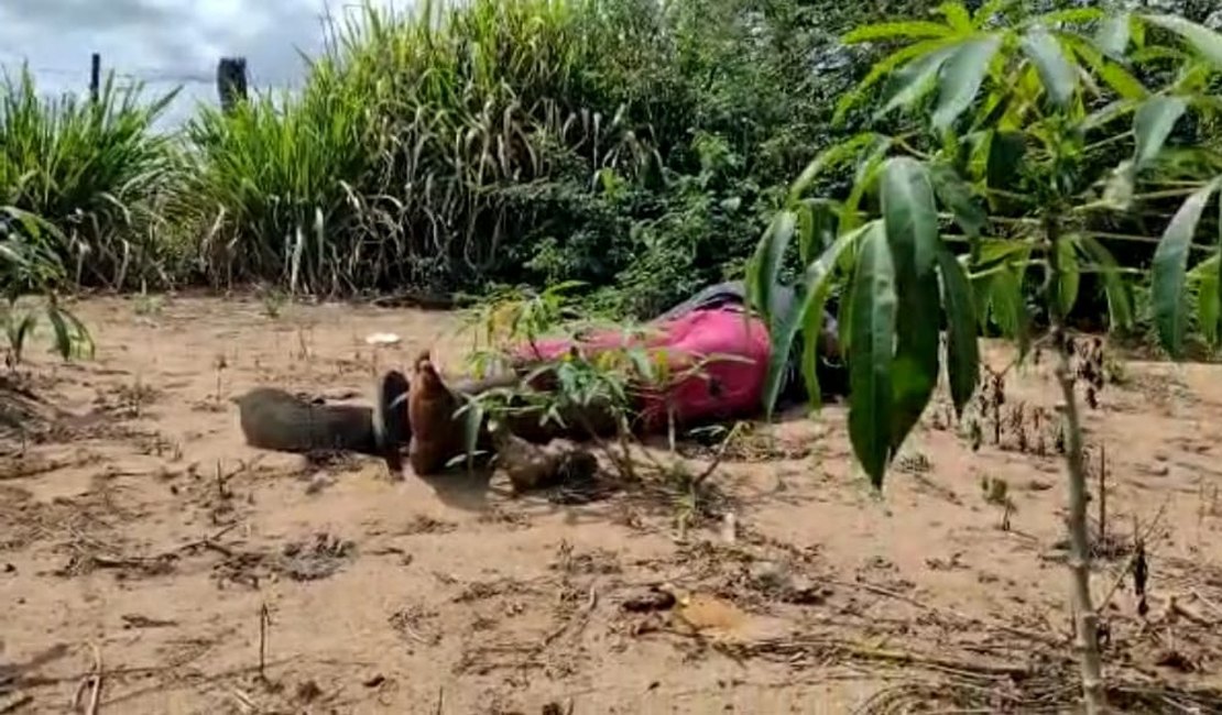 Vídeo: Cadáver em estado de decomposição é encontrado em plantação de macaxeira no Bom Sucesso