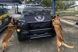 Cão farejador da PM localiza 17 kg de maconha em ônibus na BR-101, em São Sebastião