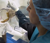 Reino Unido aprova ‘transplantes de cocô’ para tratar superbactérias