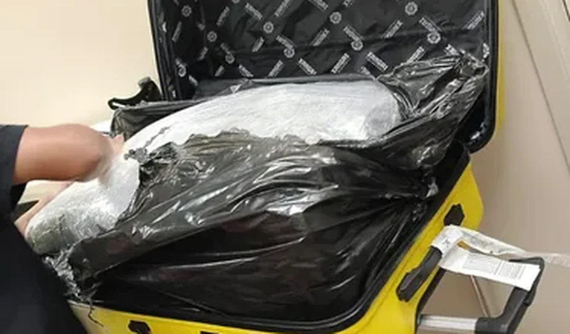 Polícia apreende 30 quilos de maconha em mala no Aeroporto Zumbi dos Palmares