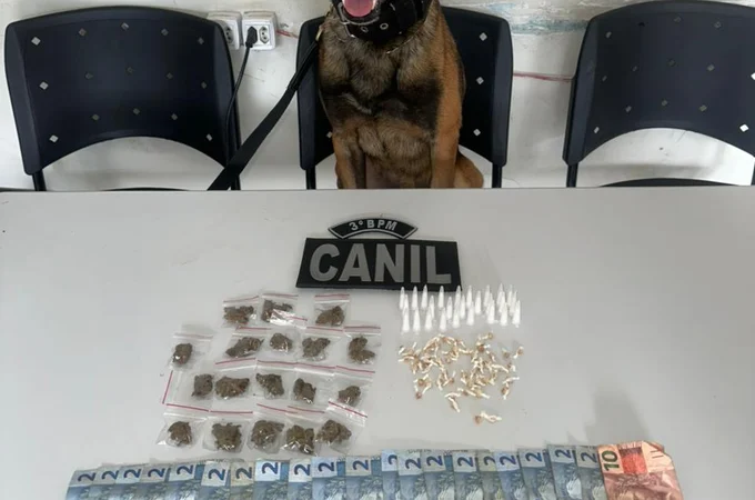Cão farejador encontra drogas em área de mata e suspeito de 19 anos é preso, em Arapiraca