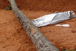 Mulher morre e criança fica ferida em queda de coqueiro em Sergipe