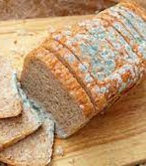 Pode comer a parte 'limpa' do pão mofado? Entenda os riscos