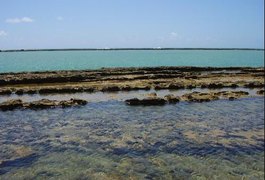 Boato sobre praia de nudismo em Alagoas repercute nas redes sociais