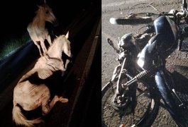 Condutor de motocicleta morre após colidir veículo contra animal no Sertão de Alagoas