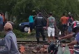 VÍDEO: Árvore cai sobre carro no bairro Primavera, em Arapiraca