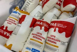 Governo de Alagoas compra um milhão de litros de leite por mês de agricultores familiares