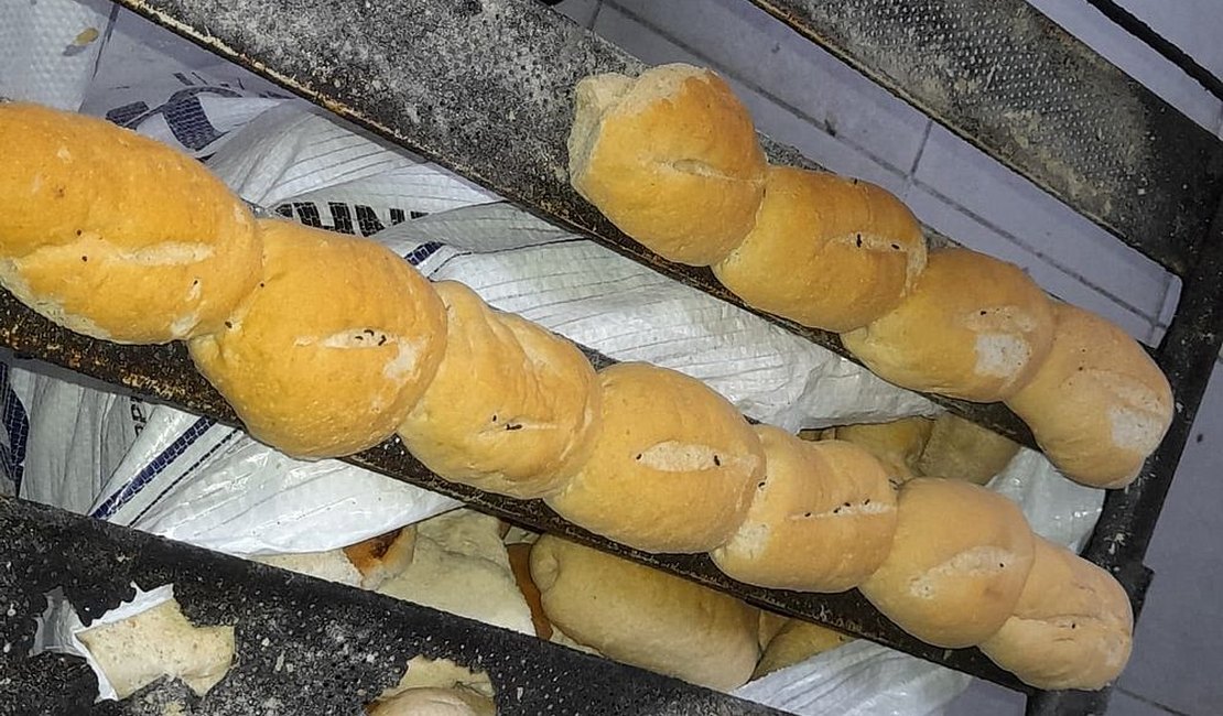 Padaria é interditada após vigilância sanitária encontrar fezes de rato em pães