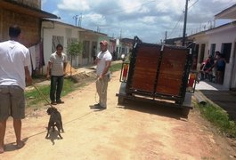 Cão que mordeu mais de 28 pessoas é recolhido a centro de zoonoses em Arapiraca