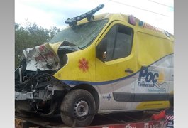 Colisão entre ambulância e animais deixa motorista ferido no Sertão