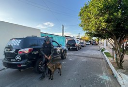 Última Fatia: Força integrada desarticula organização criminosa que usava pizzaria de fachada para entregar drogas em Maceió