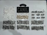 Cão farejador encontra drogas escondidas em buraco durante ação policial no Cangandu