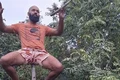 VÍDEO: Homem mostra equilíbrio ao ficar sentado em cima de pau e viraliza na internet