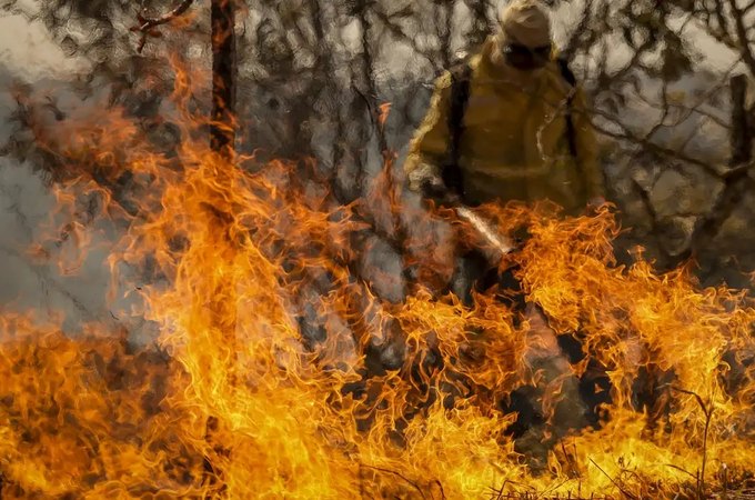 Entenda as linhas de investigação dos incêndios florestais no país