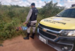 Corpo de homem é encontrado com perfurações, na zona rural de Arapiraca