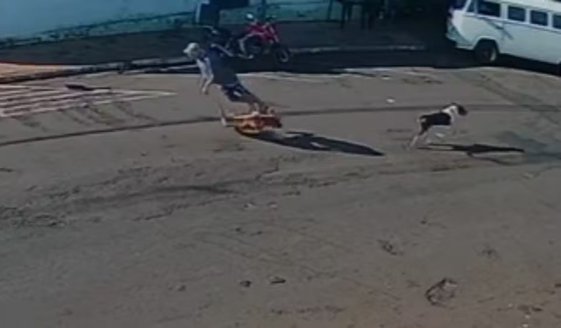 Morre idoso 'atropelado' por cachorro que corria na rua no interior de SP